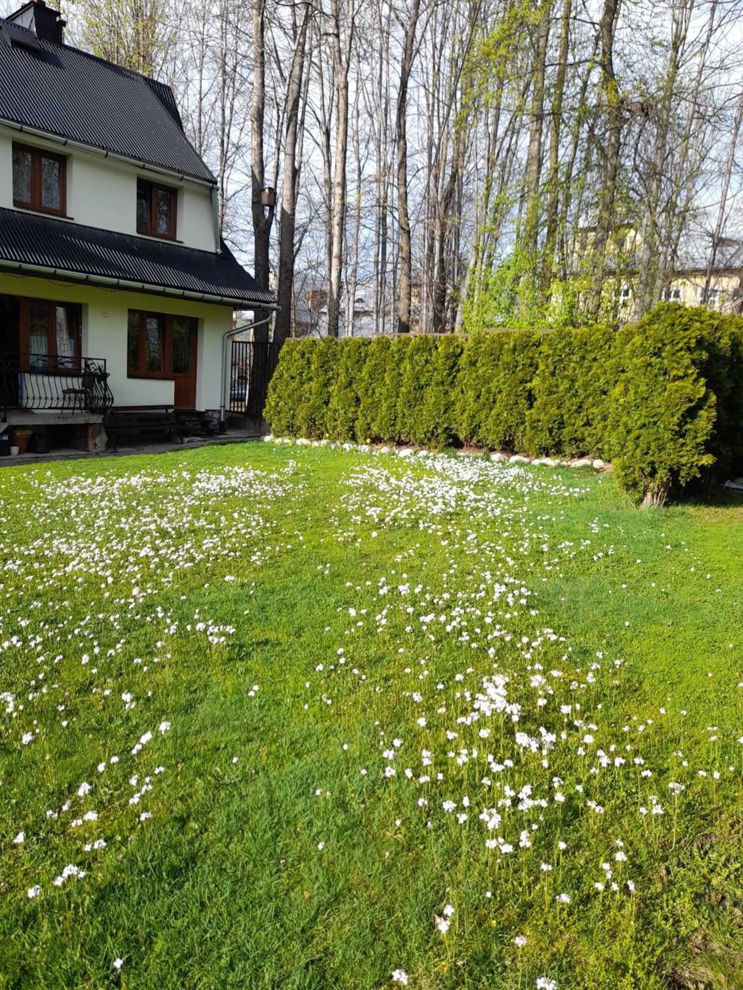 Pokoje Goscinne Kozica Zakopane Extérieur photo